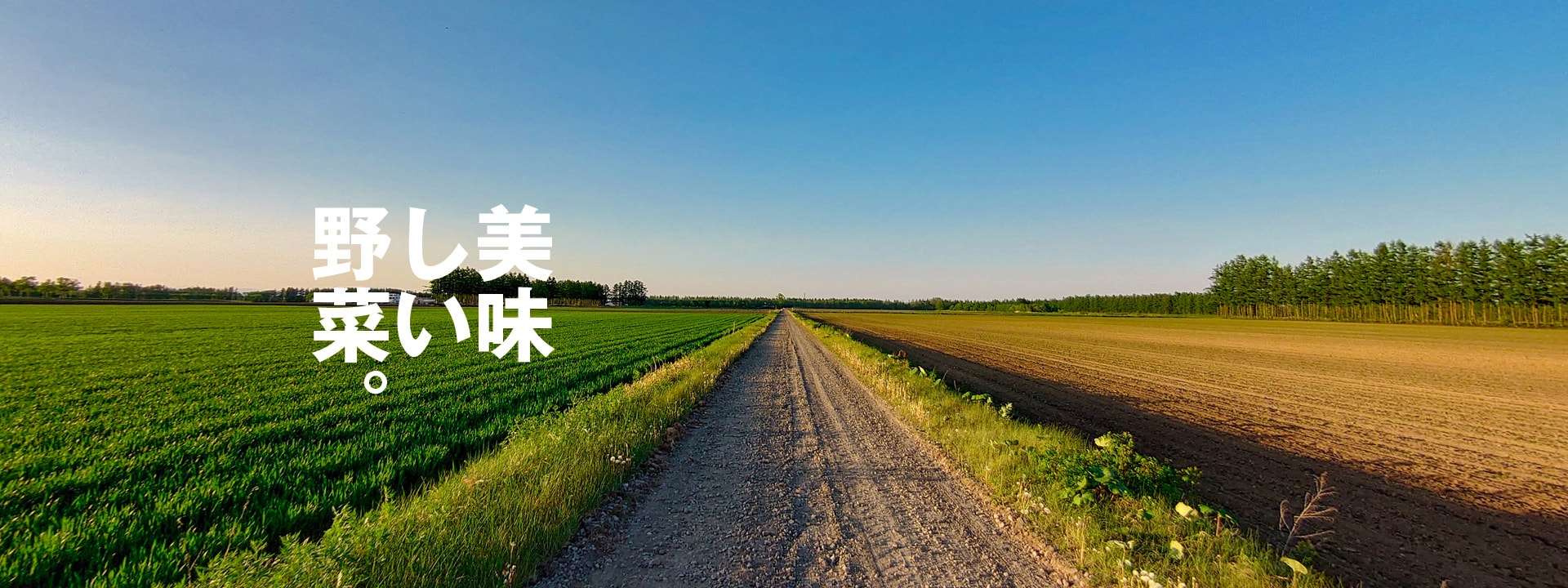 野菜のこだわり