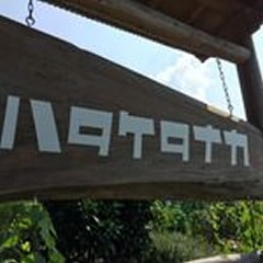 ハタケタナカ